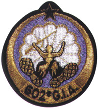 602° Groupe d'Infanterie de l'Air