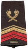 Brigadier Chef