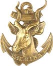 15° Escadron Blindé d’Infanterie de Marine G.1733