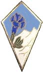 27° Division Alpine G.2486