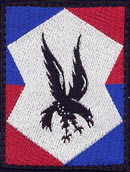 111° Division d'Infanterie (tissu) G.2808