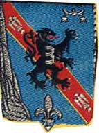 3° Brigade Aéromobile (tissu) G.4321