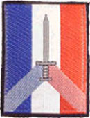 Commandement de la Force logistique Terrestre (tissu) G.4520 