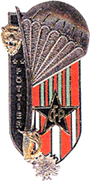 Promotion Général POTIER OAEA OAES G.4806 