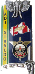 238° Promotion ADJ GIRALDO ENSOA G.4948