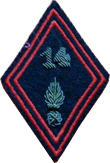 14° Demi- Brigade d'Infanterie Parachutiste de Choc  cannetille