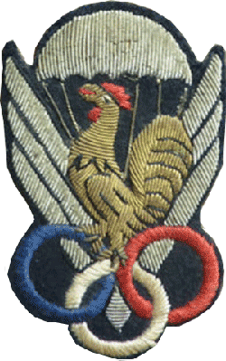 Fédération  Française de Parachutisme  F.F.P.  modèle juge  officiel  cannetille 