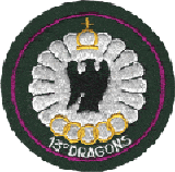 113° Régiment de Dragons Parachutistes   type II