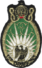 13° Régiment de Dragons Parachutistes   type I