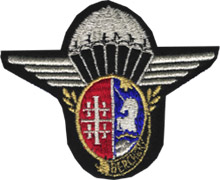 1°Régiment de Hussards Parachutistes   type III